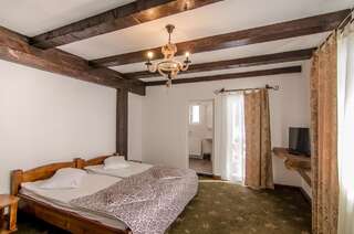 Курортные отели Resort Cheile Gradistei Moieciu Мойечу-де-Сус Двухместный номер с 1 кроватью или 2 отдельными кроватями-1