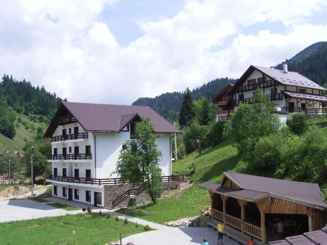 Курортные отели Resort Cheile Gradistei Moieciu Мойечу-де-Сус-34